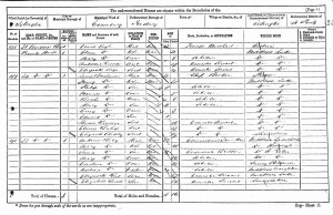 Louis Breslauer on the 1871 census